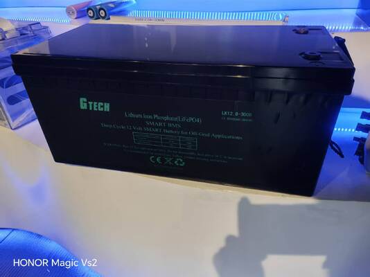 12Akumulator LiFePO4 o mocy 0,8 V